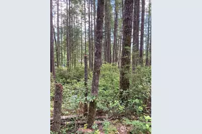 9920 Fairview Lake Road SW, Port Orchard, WA 98367 - Photo 5