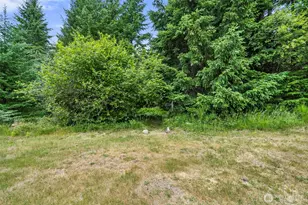 128 Riverdance Ln, Packwood, WA 98361 - Photo 27