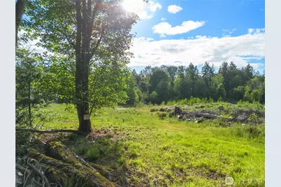 641 E Jared Road, Shelton, WA 98584 - Photo 3