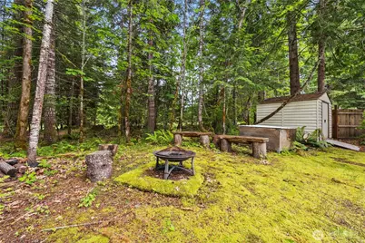 142 Butter Creek Lane, Packwood, WA 98361 - Photo 33