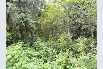 0 Xxx Sylvan Way, Longview, WA 98632 - Photo 1