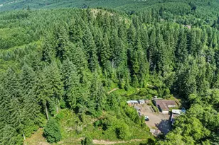 136 Longhorn Rd, Amboy, WA 98601 - Photo 5