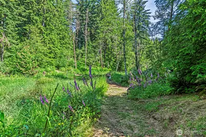 136 Longhorn Road, Amboy, WA 98601 - Photo 29
