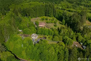 238 Bush Creek Rd, Elma, WA 98541 - Photo 37