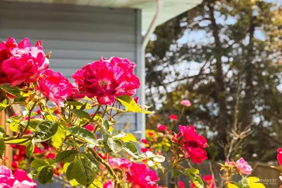 8132 208th Place SW, Edmonds, WA 98026 - Photo 31