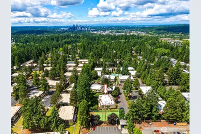 1414 154th Avenue NE #4403, Bellevue, WA 98007 - Photo 29