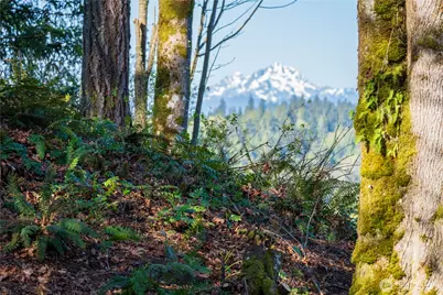 0 Twin Brooks Lane NW, Silverdale, WA 98383 - Photo 9