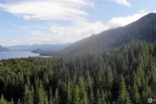 861 Via Kachess Rd, Easton, WA 98925 - Photo 39