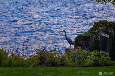 [Address not provided], Medina, WA 98039 - Photo 35