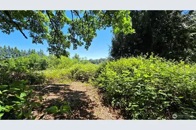 123 Mulford Road, Toledo, WA 98591 - Photo 1