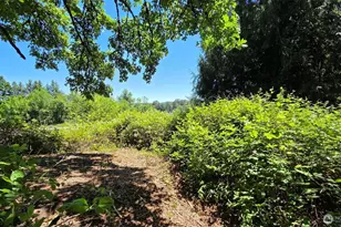 123 Mulford Rd, Toledo, WA 98591 - Photo 1