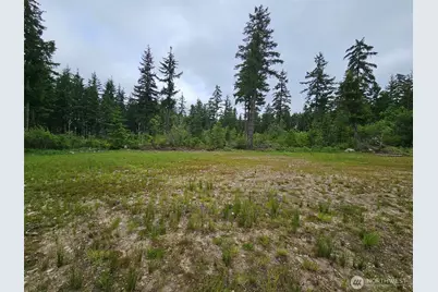 42911 28th Avenue E, Eatonville, WA 98328 - Photo 13