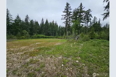 42911 28th Avenue E, Eatonville, WA 98328 - Photo 9