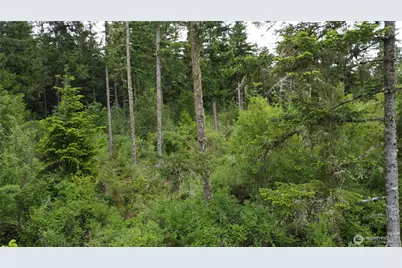 42911 28th Avenue E, Eatonville, WA 98328 - Photo 19