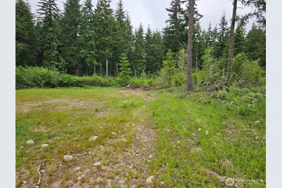 42911 28th Avenue E, Eatonville, WA 98328 - Photo 7