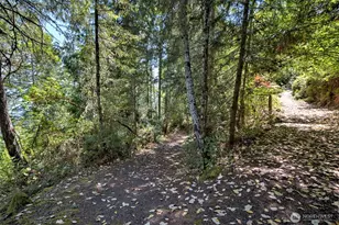 80 E Tamarack Ln, Shelton, WA 98584 - Photo 25