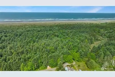 0 Lot 4 Chickamin Avenue, Ocean Shores, WA 98569 - Photo 3