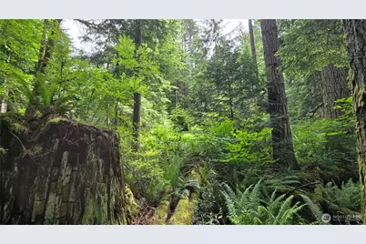 273 Xx SE 150th Street, Issaquah, WA 98027 - Photo 13
