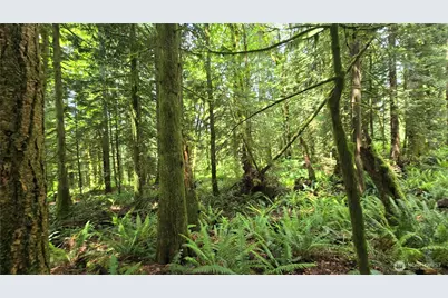 273 Xx SE 150th Street, Issaquah, WA 98027 - Photo 25