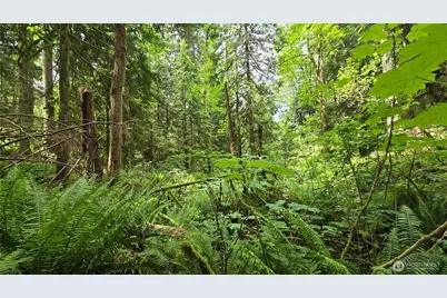 273 Xx SE 150th Street, Issaquah, WA 98027 - Photo 11
