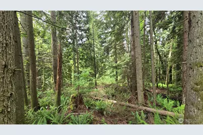 273 Xx SE 150th Street, Issaquah, WA 98027 - Photo 17