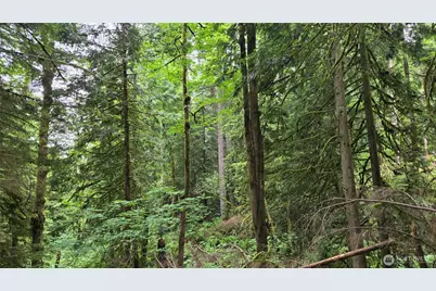 273 Xx SE 150th Street, Issaquah, WA 98027 - Photo 7
