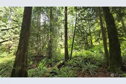 273 Xx SE 150th Street, Issaquah, WA 98027 - Photo 27