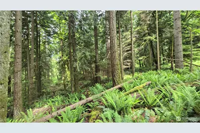 273 Xx SE 150th Street, Issaquah, WA 98027 - Photo 15