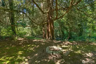 3827 212th St SW, Lynnwood, WA 98036 - Photo 29