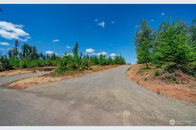 0 S Silver Lake Lot#5 Road, Castle Rock, WA 98611 - Photo 7