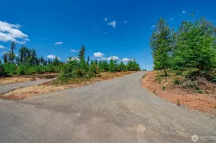 0 S Silver Lake Rd Lot 5, Castle Rock, WA 98611 - Photo 7