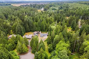 91 E Kathryn Ct, Shelton, WA 98584 - Photo 29