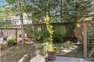 470 N 130th St, Seattle, WA 98133 - Photo 21