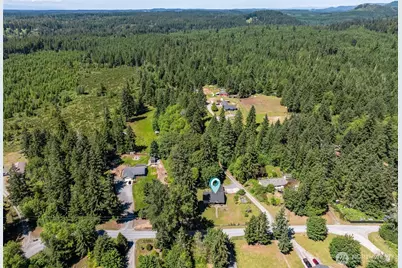 12301 401st Street E, Eatonville, WA 98328 - Photo 31