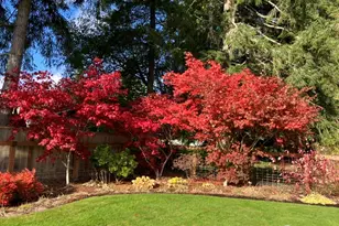 2901 S Bay Rd NE, Olympia, WA 98506 - Photo 11