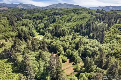 344 N Hull Creek Road, Grays River, WA 98621 - Photo 25