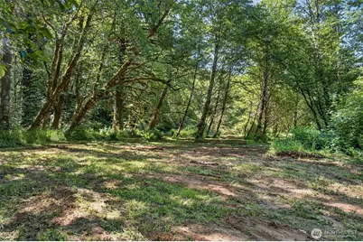 344 N Hull Creek Road, Grays River, WA 98621 - Photo 7