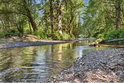 344 N Hull Creek Road, Grays River, WA 98621 - Photo 3