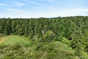 [Address not provided], Yelm, WA 98597 - Photo 29