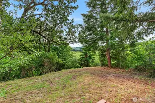 [Address not provided], Yelm, WA 98597 - Photo 33