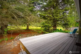 226 Hurricane Ridge Dr, Sequim, WA 98382 - Photo 31