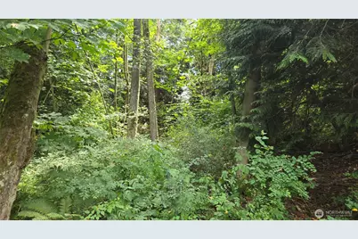 8855 Wood Duck Way, Blaine, WA 98230 - Photo 11