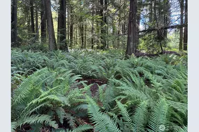 1108 Connors Rd, Snohomish, WA 98290 - Photo 3