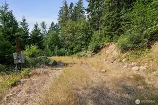 133 A Hinkle Tinkle Ln, Packwood, WA 98361 - Photo 27