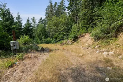 133 A Hinkle Tinkle, Packwood, WA 98361 - Photo 13