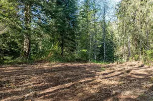 0 Davis Lake Rd, Morton, WA 98356 - Photo 1