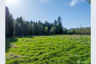 0 Davis Lake Road, Morton, WA 98356 - Photo 11