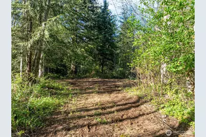 0 Davis Lake Road, Morton, WA 98356 - Photo 17