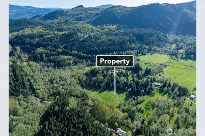 0 Davis Lake Road, Morton, WA 98356 - Photo 5