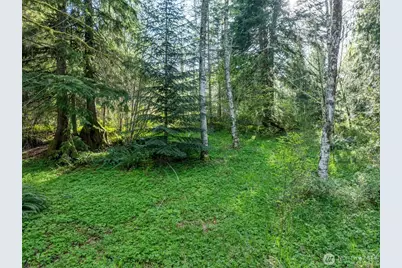 0 Davis Lake Road, Morton, WA 98356 - Photo 23